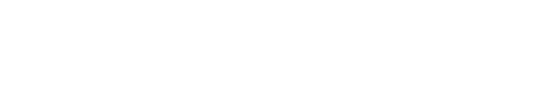 Shopify Partners